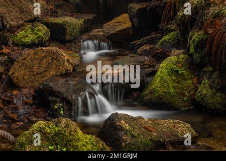 Jizersky Creek an kalten Wintertagen mit Farbsteinen und klarem Süßwasser in Liberec City Stockfoto