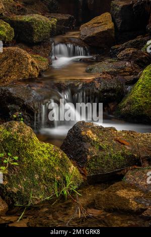 Jizersky Creek an kalten Wintertagen mit Farbsteinen und klarem Süßwasser in Liberec City Stockfoto