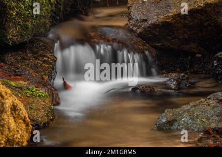 Jizersky Creek an kalten Wintertagen mit Farbsteinen und klarem Süßwasser in Liberec City Stockfoto