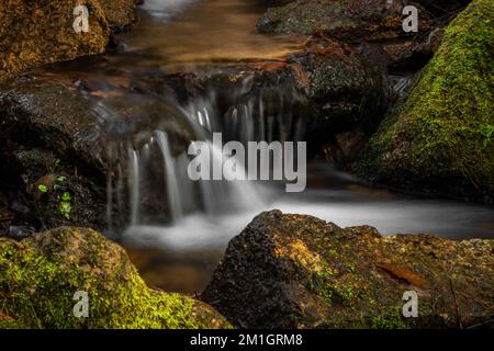 Jizersky Creek an kalten Wintertagen mit Farbsteinen und klarem Süßwasser in Liberec City Stockfoto