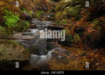 Jizersky Creek an kalten Wintertagen mit Farbsteinen und klarem Süßwasser in Liberec City Stockfoto