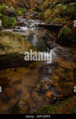 Jizersky Creek an kalten Wintertagen mit Farbsteinen und klarem Süßwasser in Liberec City Stockfoto