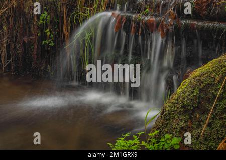 Jizersky Creek an kalten Wintertagen mit Farbsteinen und klarem Süßwasser in Liberec City Stockfoto