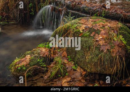 Jizersky Creek an kalten Wintertagen mit Farbsteinen und klarem Süßwasser in Liberec City Stockfoto