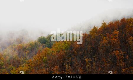 Neblig bunte Hügel im Herbst in der Toskana, Italien Stockfoto