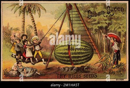Kubanische Königin - 81 Pfund. Versuchen Sie Es Mit Rices Seeds. , Menschen, Samen, Wassermelonen, amerikanische Handelskarten des 19.. Jahrhunderts Stockfoto