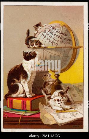 Dr. Thomas' Electrical Oil wird weltweit verwendet, Cats, Globen, Patent Medicines, 19. Century American Trade Cards Stockfoto