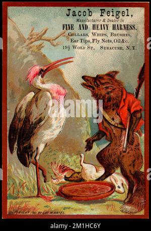 Jacob Feigel. Hersteller und Händler für feine und schwere Gurte. Kragen, Peitschen, Bürsten, Ohrstöpsel, Fliegennetze, Öl &c.. 19 1/2 Wolf St., Syracuse, N.Y. Storche, Füchse, Gewehre, Tiere in menschlichen Situationen, Gurte, amerikanische Handelskarten des 19.. Jahrhunderts Stockfoto