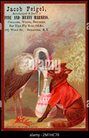 Jacob Feigel. Hersteller und Händler für feine und schwere Gurte. Kragen, Peitschen, Bürsten, Ohrstöpsel, Fliegennetze, Öl &c.. 19 1/2 Wolf St., Syracuse, N.Y. Storche, Füchse, Pitcher, Tiere in menschlichen Situationen, Gurte, amerikanische Handelskarten des 19.. Jahrhunderts Stockfoto