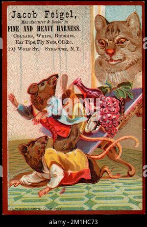Jacob Feigel. Hersteller und Händler für feine und schwere Gurte. Kragen, Peitschen, Bürsten, Ohrstöpsel, Fliegennetze, Öl &c.. 19 1/2 Wolf St., Syracuse, N.Y. , Katzen, Mäuse, Früchte, Tiere in menschlichen Situationen, Gurte, amerikanische Handelskarten des 19.. Jahrhunderts Stockfoto