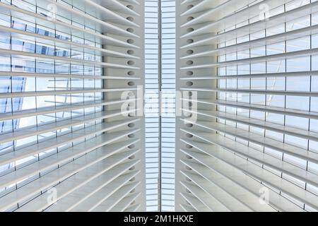 Man blickt direkt auf eine saubere, moderne, weiße Decke, die symmetrisch mit Glas nach außen ist Stockfoto