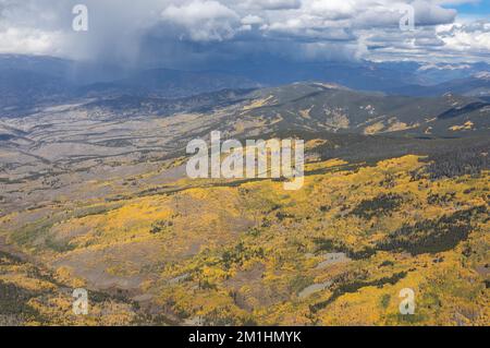 Im Herbst nähert sich die Regendusche Aspen Grove Stockfoto