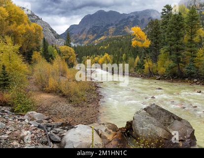 Farbenfrohe Bäume am Animas River in Colorado Stockfoto