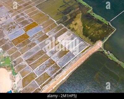 Luftaufnahme von Salinas de Cáhuil und Laguna Cáhuil (Pichilemu) - Chile Stockfoto