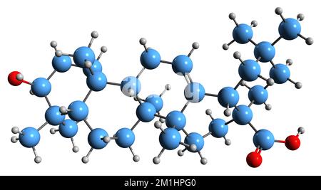 3D-Bild der Oleanolsäure-Skelettformel - molekularchemische Struktur des auf weißem Hintergrund isolierten pentacyclischen Triterpenoids Stockfoto