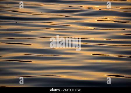 Blaues Wasser mit Wellen an der Oberfläche zur goldenen Stunde des Sonnenuntergangs Stockfoto