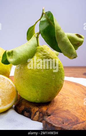 Auswahl an Zitrusfrüchten, reifer Bergamotte und Zitronencitron Cedrate oder Citrus Medica, große, duftende Zitrusfrüchte mit dicker Rinde Stockfoto