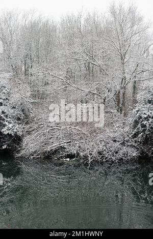 Schneebedeckte Bäume eines Winterwunderlands an einem frostigen Tag am Fluss Avon in Chippenham, Wiltshire. Stockfoto