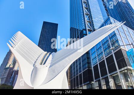 Vor dem WTC-Bahnhof in New York City mit seiner weißen Rippchen-Architektur bis zum Himmel Stockfoto