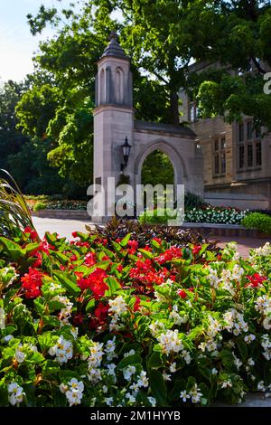 Rot-weiße Blumen am Sample Gates Eingang zum College Campus in Indiana Stockfoto