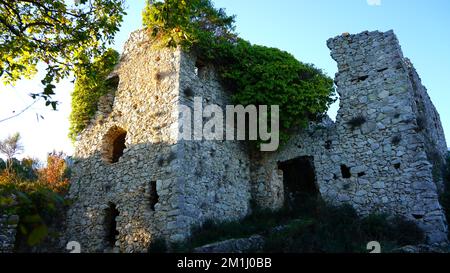 Alte Ruinen eines verlassenen Steinhauses, das mit Pflanzen überwuchert ist Stockfoto