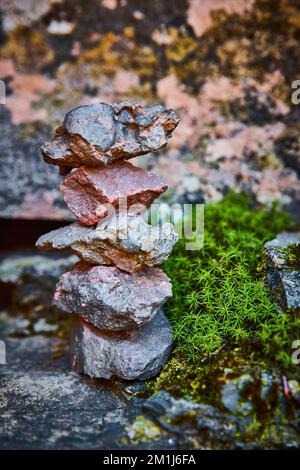 Konzentrieren Sie sich auf einen Klugsteinstapel aus winzigen Felsen, die an moosbedeckten Felsen und grünen winzigen Pflanzen befestigt sind Stockfoto