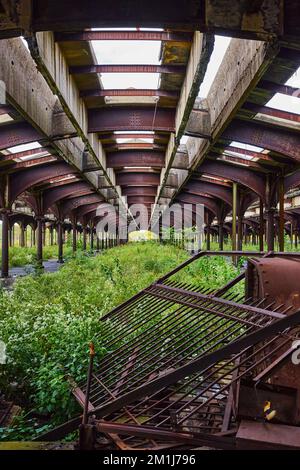 Eingefallenes Tor und Überwucherung in verlassenem Gebäude vor dem Bahnhof mit verrosteter Decke Stockfoto