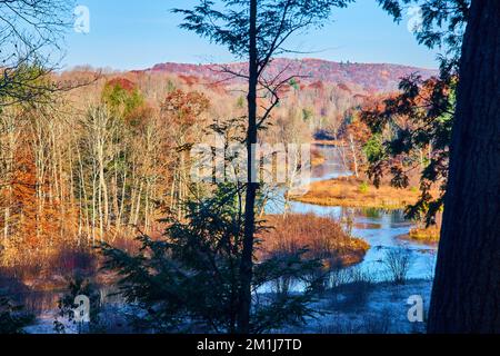 Im späten Herbst schlängelt sich der Fluss durch Michigan mit gedämpften Farben Stockfoto