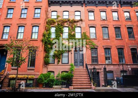 Wunderschöne grüne Weinreben auf einem Ziegelappartmentgebäude in Greenwich Village New York City Stockfoto