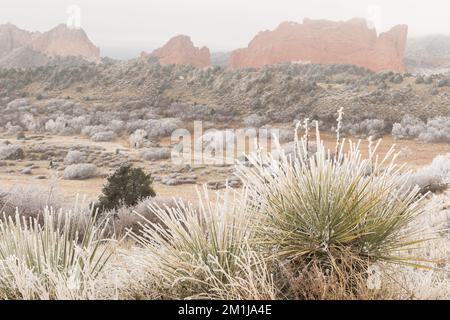 Nebel und Heiterfrost im Garden of the Gods, Colorado Springs, Colorado Stockfoto