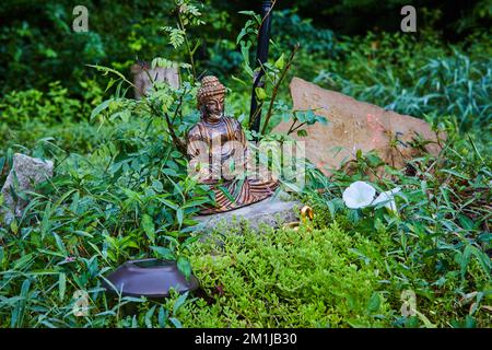 Einsame Buddha-Statue in wilden Tempelgärten Stockfoto