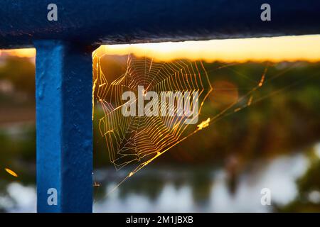 Detailliertes kleines Spinnennetz auf blauem Geländer mit goldenem Licht dahinter Stockfoto