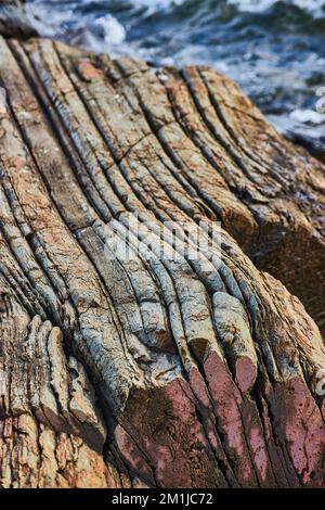 Details des versteinerten Holzes mit Blick auf die felsige Küste in Maine und Wellen im Hintergrund Stockfoto