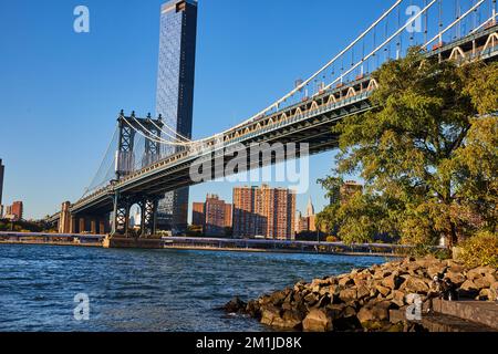 Felsige Küste und Baum mit der Skyline von New York City, die die Manhattan Bridge von Brooklyn umrahmt Stockfoto