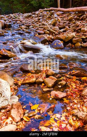 Kleiner Bach mit kaskadierenden Wasserfällen entlang Felsen mit bunten Flecken von Herbstblättern im Vordergrund Stockfoto