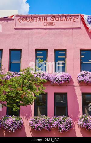 Die pinkfarbene Fassade der Fountain Square Mall im Bloomington Indiana ist mit rosafarbenen Blumen bedeckt Stockfoto