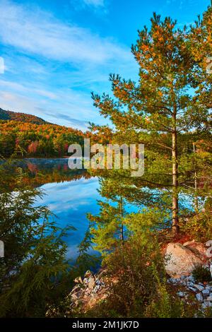 Kiefern und Felsen am Rand des nebeligen Sees am Morgen mit Herbstlaub Stockfoto