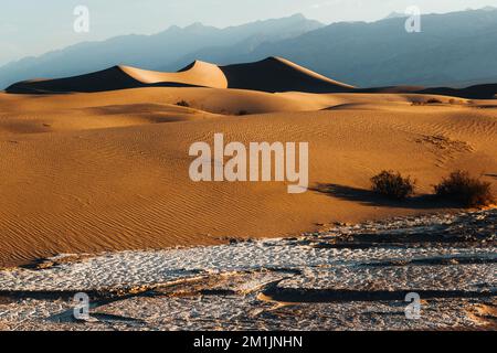 Mesquite flache Sanddünen, Death Valley Nationalpark, Kalifornien Stockfoto