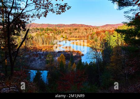 Blick vom Hügel des Flusses, der sich durch die Wälder im späten Herbst in Michigan schlängelt Stockfoto