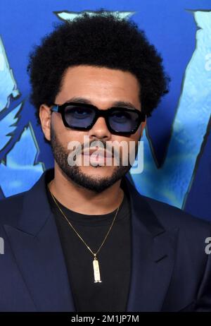 Hollywood, Kalifornien, USA 12.. Dezember 2022 Singer/Musiker The Weeknd alias Abel Makkonen Tesfaye besucht 20. Century Studio's 'Avatar 2: The Water' USA Premiere im Dolby Theatre am 12. Dezember 2022 in Hollywood, Kalifornien, USA. Foto: Barry King/Alamy Live News Stockfoto