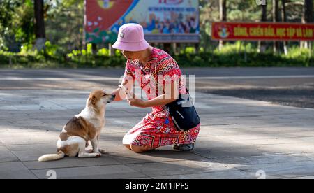 Mang Den Touristenviertel, Kon Plong Bezirk, Provinz Kon TUM, Vietnam - 25. November 2022: Eine Touristinnen spielt mit ihrem Hund in Mang Den tou Stockfoto