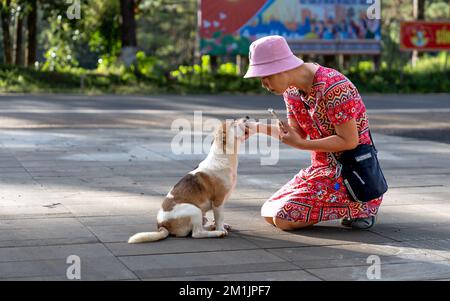 Mang Den Touristenviertel, Kon Plong Bezirk, Provinz Kon TUM, Vietnam - 25. November 2022: Eine Touristinnen spielt mit ihrem Hund in Mang Den tou Stockfoto