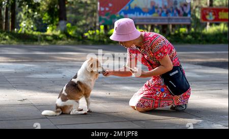 Mang Den Touristenviertel, Kon Plong Bezirk, Provinz Kon TUM, Vietnam - 25. November 2022: Eine Touristinnen spielt mit ihrem Hund in Mang Den tou Stockfoto