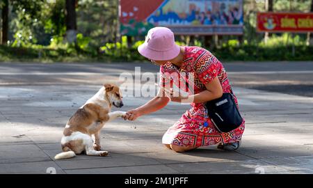 Mang Den Touristenviertel, Kon Plong Bezirk, Provinz Kon TUM, Vietnam - 25. November 2022: Eine Touristinnen spielt mit ihrem Hund in Mang Den tou Stockfoto