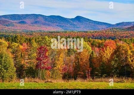 Die New Yorker Herbstlandschaft in den Bergen mit einem Waldrand vor sich Stockfoto