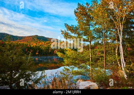 Kiefern und Felsen an der Küste des wunderschönen Sees während des Hochfalles mit Hügeln von Bäumen Stockfoto