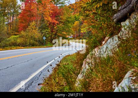 Am Straßenrand in Vermont mit Blick auf fallende Bäume und Felswand im Vordergrund Stockfoto