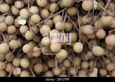 Leckere und gesunde Longan-Aktien zum Verkauf Stockfoto