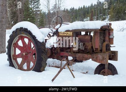 Ein alter, roter 1938 oder 1939 International Farmall Model F-14 gasbetriebener Traktor im Schnee, in einer bewaldeten Gegend am Callahan Creek, Troy, Montana. Stockfoto