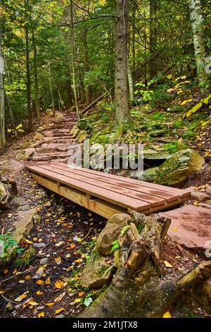 Seitlicher Blick auf den Wanderweg im Herbstwald mit Schwerpunkt auf der Holzplank Bridge Stockfoto